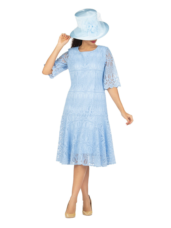 1pc Embroidery Lux Lace Pleated Flare Dress-Plus