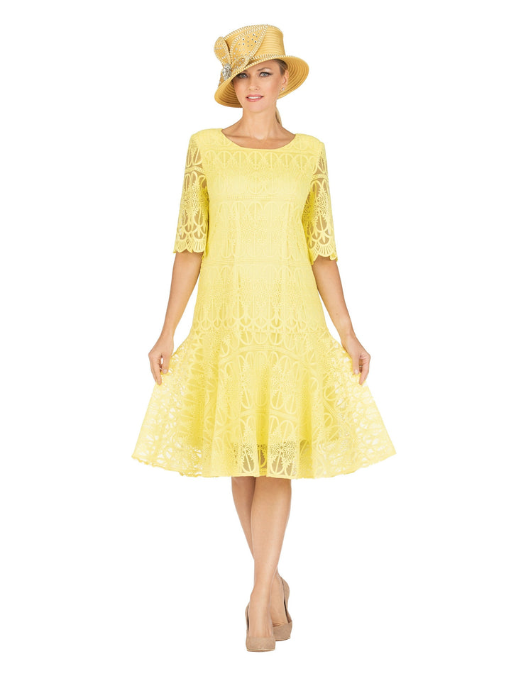 1pc Embroidery Lux Lace Pleated Flare Dress-Plus