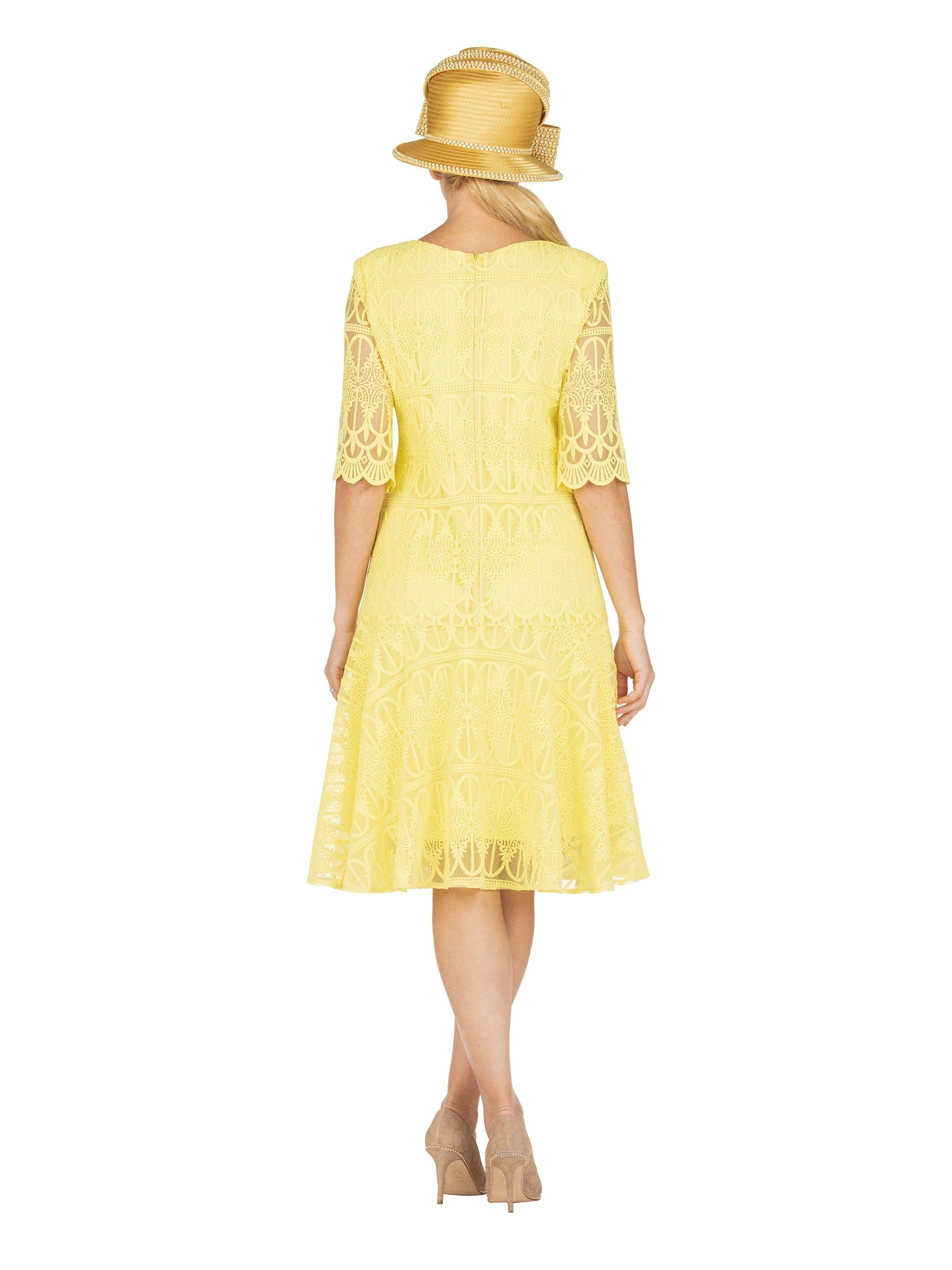 1pc Embroidery Lux Lace Pleated Flare Dress-Plus