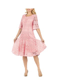 1pc Embroidery Lux Lace Pleated Flare Dress